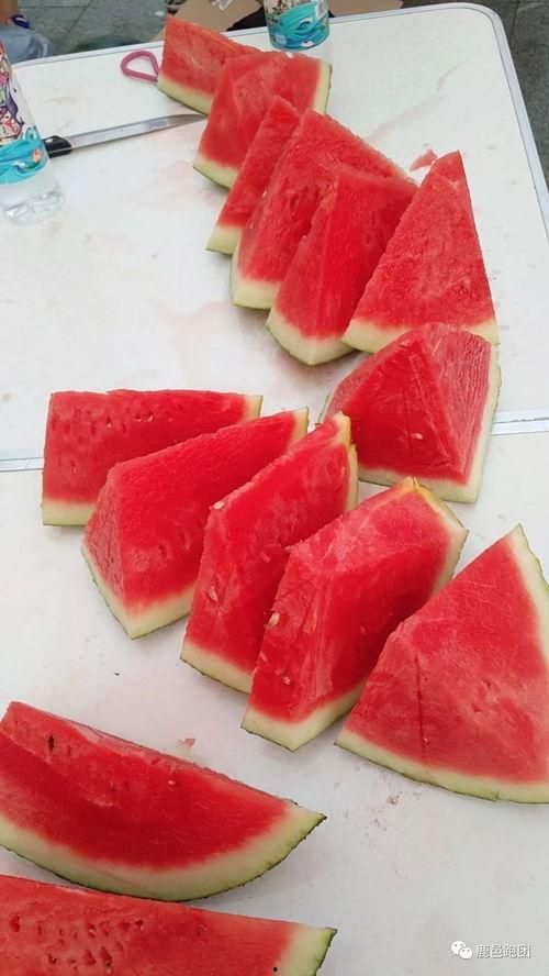 免费吃瓜每日大赛