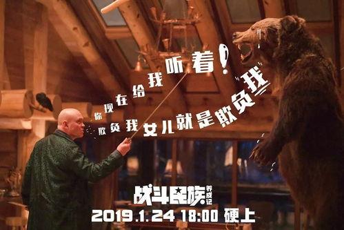 格斗搞笑电影,一场格斗界的欢乐盛宴